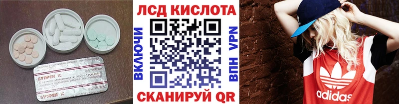 kraken вход  Медногорск  LSD-25 экстази кислота 